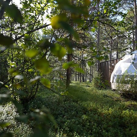 Glod Aurora Canvas Dome Alta Exterior foto